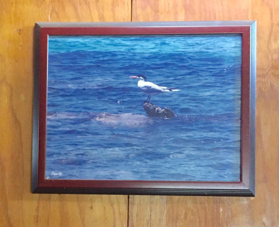 Dancing Tortugas Hotel Aguadilla Luaran gambar